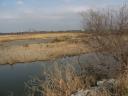 Paysage de Petite Camargue