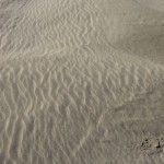 dunes de sable vierges