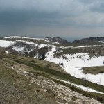 img_1216 img_1216