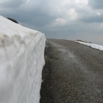 img_1218 img_1218