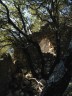habitation en ruine