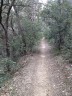Sous-bois (début de la balade)