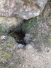 Une source, plutôt inattendue
