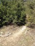 Le sentier à peine visible qui mène au castrum