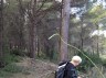 Une asperge sauvage aurait-elle décidé d'attaquer Majo ?
