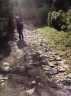 Chemin pavé, Majo devant