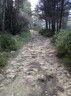 Chemin pavé