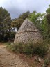 Cabane en pierre sèche ou "borie"