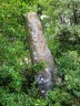 La borne milliaire de Bidoussanne