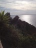 Silhouette du Terre-Neuve