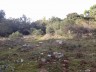 sortie du GR9 sur le plateau