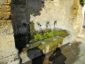 Bono font la plus ancienne fontaine