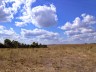 Plateau de Valensole près de la draille de la partie