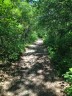 Le sentier le long du canal