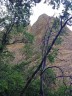 Deux pénitents derrière les arbres