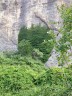 Un pénitent envahi par le lierre