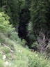 La rive verdoyante