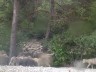 Départ en transhumance