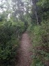 Le sentier