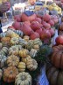 Une collection de courges