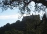 img_6139r.JPG