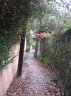 img_6431r.JPG