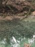 Gour rempli de feuilles