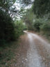 Chemin de Pauli