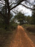 Sentier du Jas de Coussou