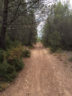 Bois Eguilles quartier 4-Termes