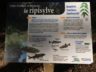 Information ripisylve