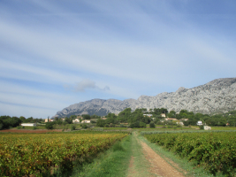 Le sentier des vignerons de Puyloubier