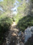 Dans le vallon
