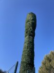 pylône camouflé