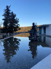 Chateau La Coste, sélection artistique