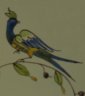 oiseau léger