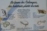 IMG_9942r.JPG